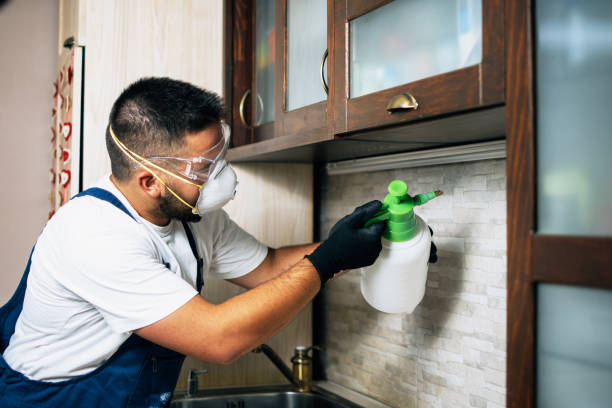 Pest Prevention Services in Crouch Mesa, NM