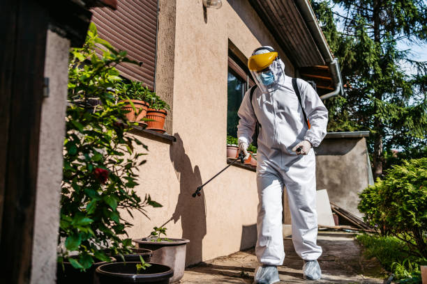 Best Local Pest Control Services  in Crouch Mesa, NM