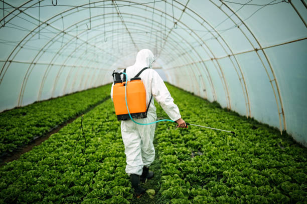 Best Best Pest Control Near Me  in Crouch Mesa, NM
