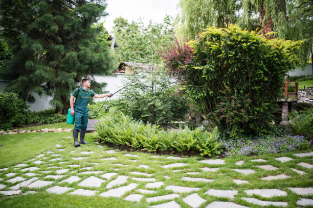 Best Ant Control Services  in Crouch Mesa, NM