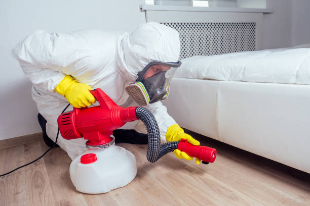 Best Best Pest Control Companies  in Crouch Mesa, NM