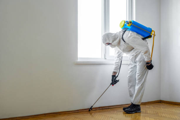 Best Residential Pest Control  in Crouch Mesa, NM
