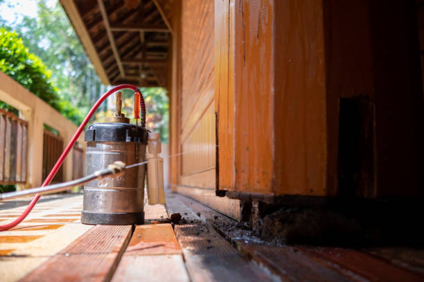 Pest Prevention Services in Crouch Mesa, NM