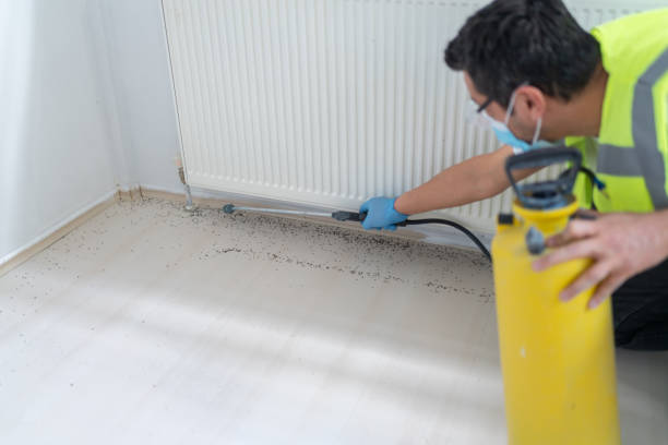 Best Local Pest Control Services  in Crouch Mesa, NM