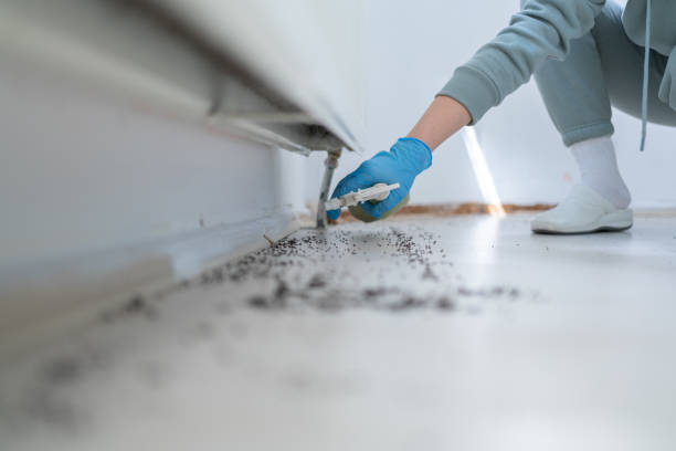 Best Best Pest Control Companies  in Crouch Mesa, NM