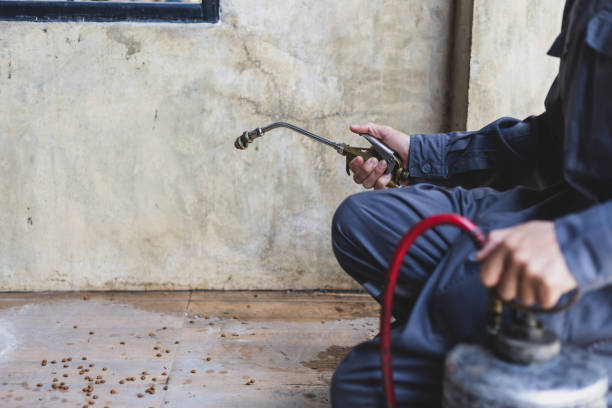 Best Pest Control Near Me in Crouch Mesa, NM